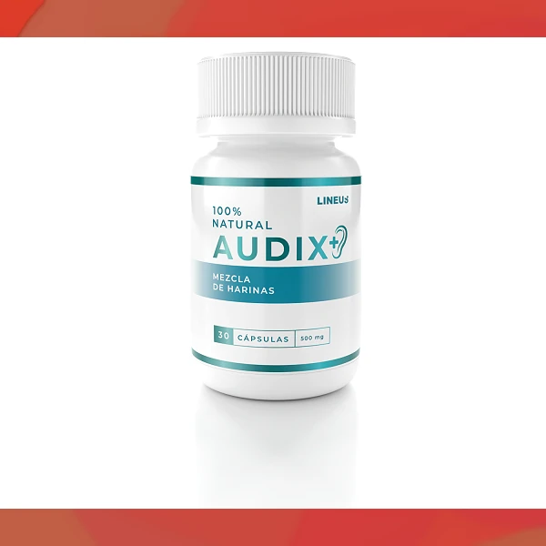 Audix