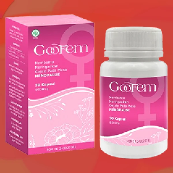 GOOFEM