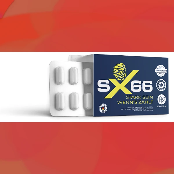 SX 66